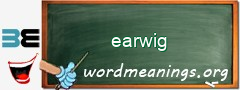 WordMeaning blackboard for earwig